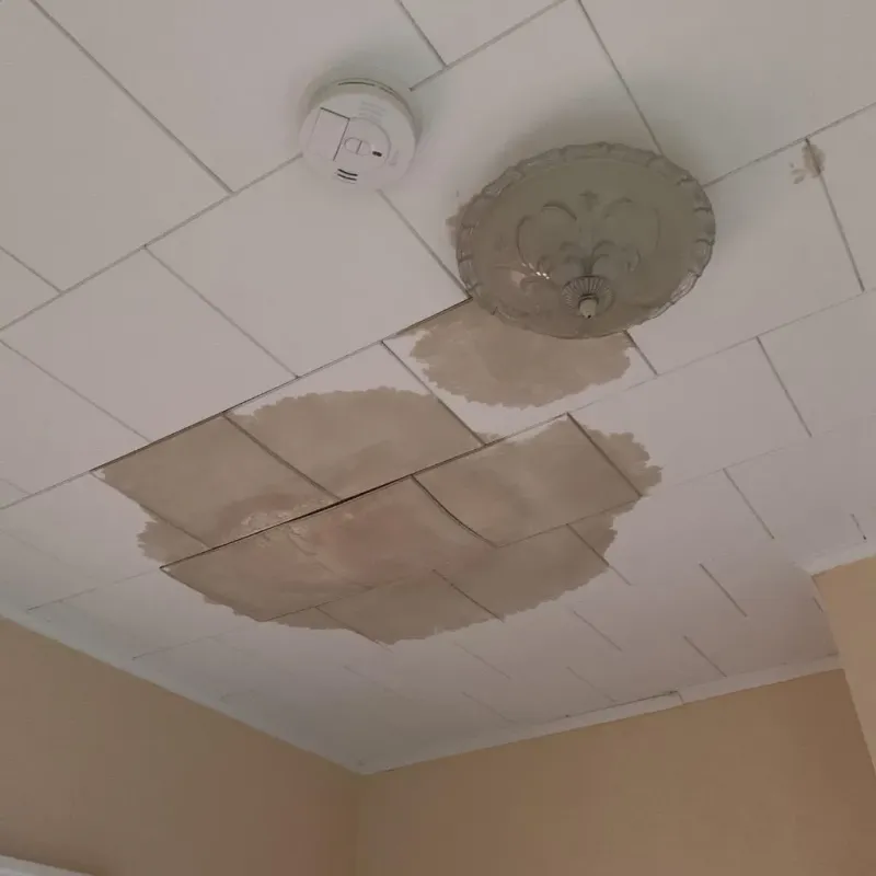 Ceiling Water Damage Repair in Hiller, PA