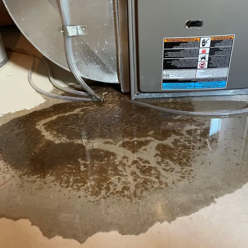 Pipe Burst and Leak Restoration in Hiller, PA
