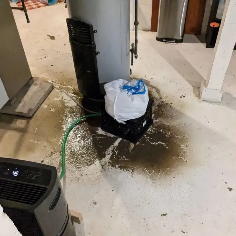 Sewage Backup Cleanup Service in Hiller, PA